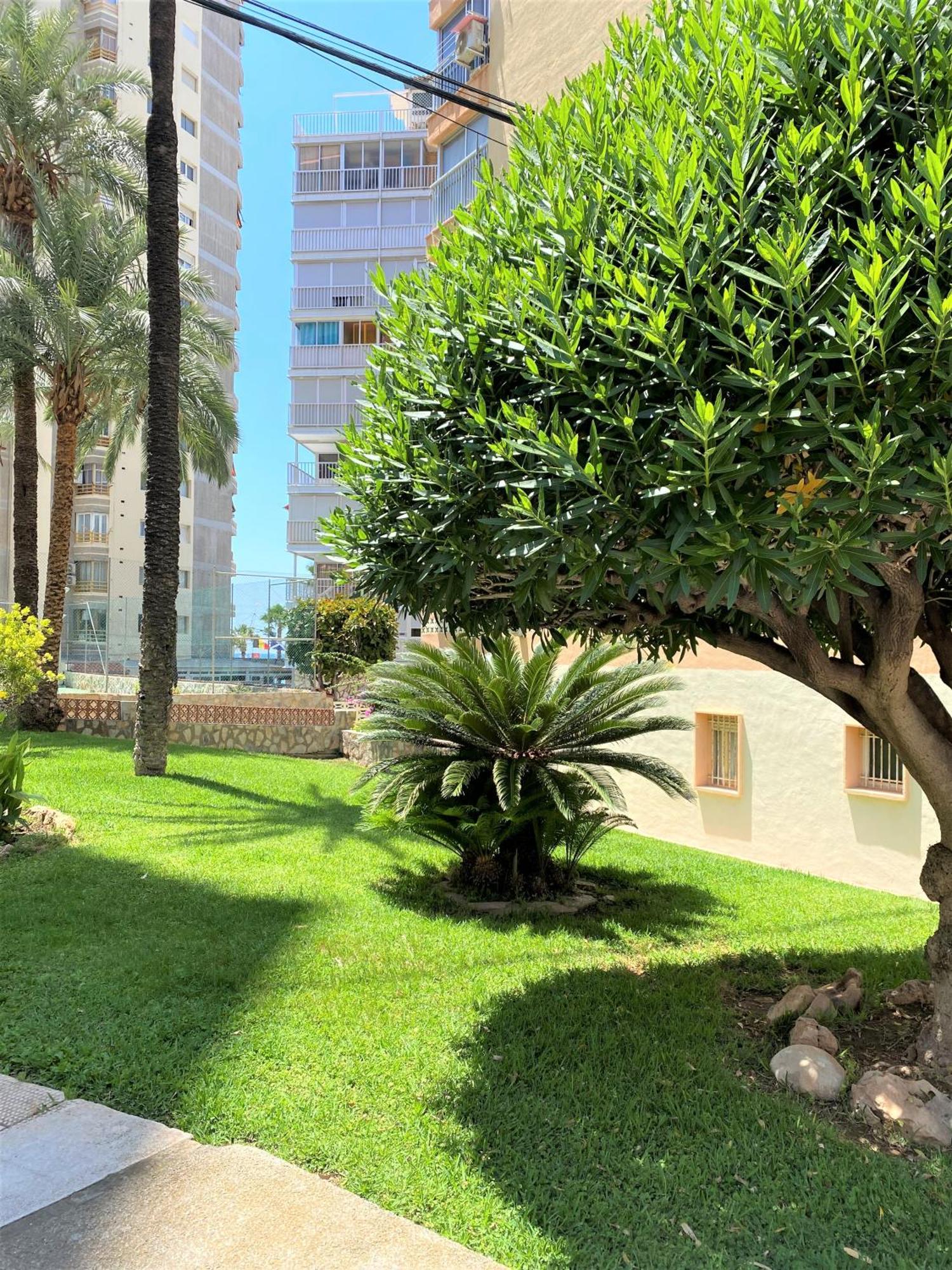 Carabelas Apartments بينايدورم المظهر الخارجي الصورة